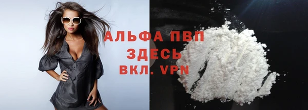 эйфоретик Арсеньев