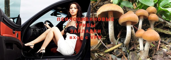 эйфоретик Арсеньев