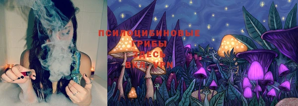кокс Аркадак