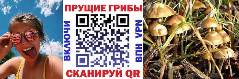Псилоцибиновые грибы Magic Shrooms  OMG   Павловск 