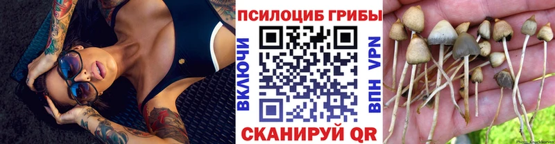 Псилоцибиновые грибы ЛСД Павловск